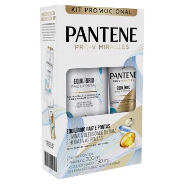 CONJ PANTENE SH COND EQUILIBRIO 450ML