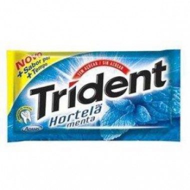 CHICLE TRIDENT HORTELA 8GR