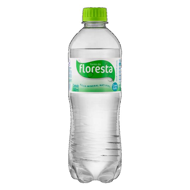 AGUA MINERAL FLORESTA CG 500ML